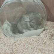 ヒメ日記 2025/03/25 16:53 投稿 なつき 横浜しこたまクリニック