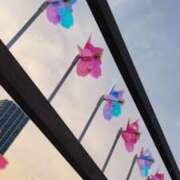 ヒメ日記 2025/03/27 12:05 投稿 なつき 横浜しこたまクリニック