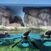 ヒメ日記 2025/08/05 16:43 投稿 なつき 横浜しこたまクリニック