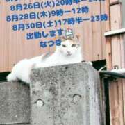 ヒメ日記 2025/08/24 19:33 投稿 なつき 横浜しこたまクリニック