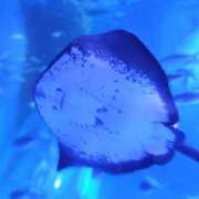 ヒメ日記 2025/08/30 14:13 投稿 なつき 横浜しこたまクリニック