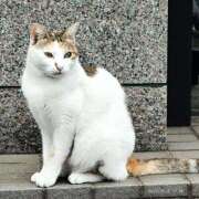 ヒメ日記 2025/10/26 17:03 投稿 なつき 横浜しこたまクリニック