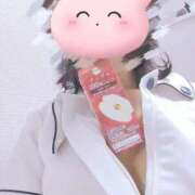 ヒメ日記 2025/11/28 00:33 投稿 なつき 横浜しこたまクリニック