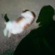 ヒメ日記 2025/12/01 05:13 投稿 なつき 横浜しこたまクリニック