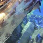 ヒメ日記 2026/01/19 06:43 投稿 なつき 横浜しこたまクリニック