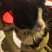 ヒメ日記 2026/02/14 17:43 投稿 なつき 横浜しこたまクリニック