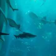 なつき 月曜 横浜しこたまクリニック