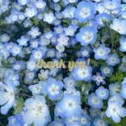 ヒメ日記 2025/05/11 13:53 投稿 さやか しろうと娘　本店