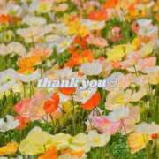 ヒメ日記 2025/06/21 15:04 投稿 さやか しろうと娘　本店