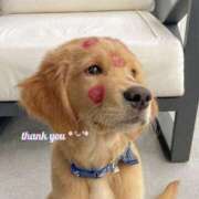 ヒメ日記 2025/08/09 14:53 投稿 さやか しろうと娘　本店