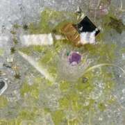 さやか 明日⸜🌷︎⸝‍ しろうと娘　本店