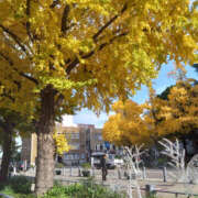 ヒメ日記 2024/12/08 21:00 投稿 るみ 奥鉄オクテツ神奈川店（デリヘル市場グループ）