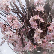 ヒメ日記 2025/03/24 17:35 投稿 るみ 奥鉄オクテツ神奈川店（デリヘル市場グループ）