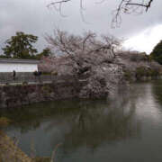 ヒメ日記 2025/04/04 19:35 投稿 るみ 奥鉄オクテツ神奈川店（デリヘル市場グループ）