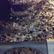 ヒメ日記 2025/04/06 07:20 投稿 るみ 奥鉄オクテツ神奈川店（デリヘル市場グループ）