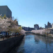 ヒメ日記 2025/04/09 11:05 投稿 るみ 奥鉄オクテツ神奈川店（デリヘル市場グループ）