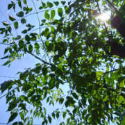 ヒメ日記 2025/06/05 13:20 投稿 るみ 奥鉄オクテツ神奈川店（デリヘル市場グループ）