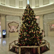 ヒメ日記 2025/12/02 11:40 投稿 るみ 奥鉄オクテツ神奈川店（デリヘル市場グループ）