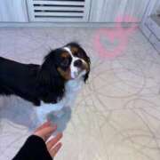 ヒメ日記 2025/04/03 20:27 投稿 たお ベイキュート