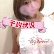 ヒメ日記 2025/06/29 14:15 投稿 ゆきは チューリップ福井本館