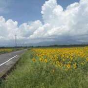 ヒメ日記 2025/09/16 16:51 投稿 れの 大奥 梅田店