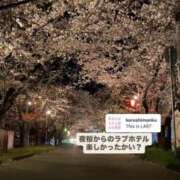 ヒメ日記 2026/03/29 21:21 投稿 れの 大奥 梅田店
