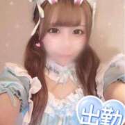 ヒメ日記 2025/02/15 09:00 投稿 まゆり ウルトラグレイス24