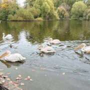 ヒメ日記 2024/12/14 17:20 投稿 八九寺 まよい Canx2京都店