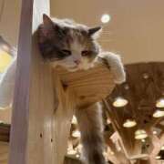 ヒメ日記 2025/01/10 23:20 投稿 八九寺 まよい Canx2京都店