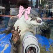 ヒメ日記 2025/09/29 22:37 投稿 八九寺 まよい Canx2京都店