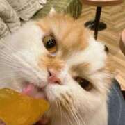 ヒメ日記 2025/10/30 17:47 投稿 八九寺 まよい Canx2京都店