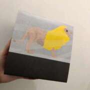 ヒメ日記 2026/01/31 12:57 投稿 八九寺 まよい Canx2京都店