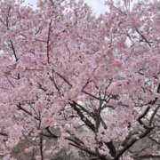 ヒメ日記 2026/03/27 18:57 投稿 八九寺 まよい Canx2京都店