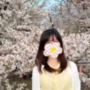 ヒメ日記 2026/04/18 16:57 投稿 八九寺 まよい Canx2京都店