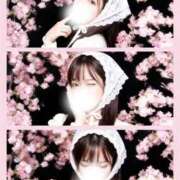 ヒメ日記 2026/05/25 21:57 投稿 八九寺 まよい Canx2京都店