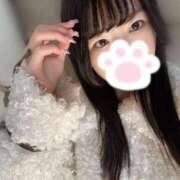 ヒメ日記 2026/01/12 12:31 投稿 りの 横浜シンデレラ（シンデレラグループ）