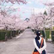 ヒメ日記 2026/03/28 15:15 投稿 ももよ 熟女家 東大阪店（布施・長田）