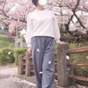 ヒメ日記 2026/04/07 14:15 投稿 ももよ 熟女家 東大阪店（布施・長田）