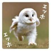 ヒメ日記 2025/03/08 20:50 投稿 萌乃　ふわり ノーパンパンスト スケベなOL梅田・兎我野店