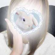 ヒメ日記 2025/06/19 11:24 投稿 萌乃　ふわり ノーパンパンスト スケベなOL梅田・兎我野店