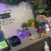 ヒメ日記 2026/04/21 01:02 投稿 あさひ ファーストレディ(博多)