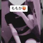 ヒメ日記 2025/05/30 12:29 投稿 ももか デリピン　ハワイ