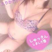 ヒメ日記 2024/12/17 15:06 投稿 えりか 浜松人妻なでしこ(カサブランカグループ)