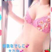 ヒメ日記 2025/03/20 09:02 投稿 えりか 浜松人妻なでしこ(カサブランカグループ)