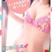 ヒメ日記 2025/03/29 16:06 投稿 えりか 浜松人妻なでしこ(カサブランカグループ)