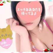 ヒメ日記 2025/06/08 00:02 投稿 えりか 浜松人妻なでしこ(カサブランカグループ)