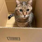 ヒメ日記 2025/01/08 21:48 投稿 りく 上野ハイブリッドマッサージ