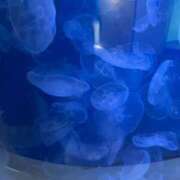 ヒメ日記 2025/01/19 00:32 投稿 めたもん 池袋サンキュー