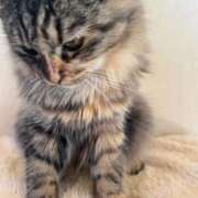 ヒメ日記 2025/03/09 00:52 投稿 めたもん 池袋サンキュー