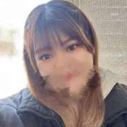 めたもん 出勤しますー！🐨 池袋サンキュー